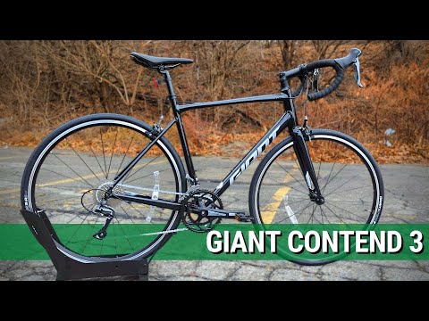 Giant Contend
