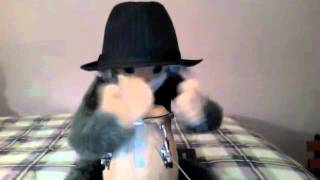 Clyde Performs... Albert Hammond, Jr.&#39;s  &quot;G Up&quot;