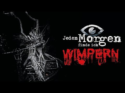 Creepypasta "Jeden Morgen finde ich Wimpern" German/Deutsch