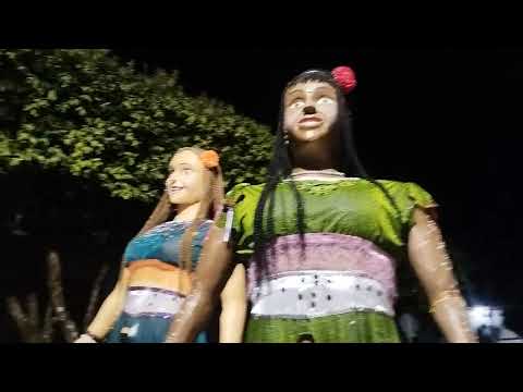 Bloco do Boi, Descoberto, 2026