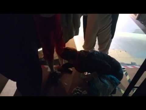 Grove Park Theatre  - Sleeping Beauty