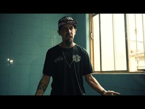 Conexão Quintal Oficial  and Quintal Studio