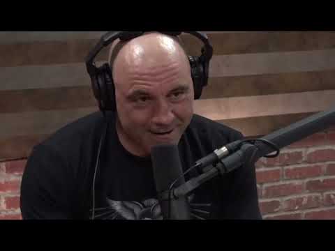 Joe Rogan and Elon Musk: Intellectual Giants