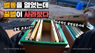 전남, 경남 수백만마리의 꿀벌이 한달새 사라진 꿀벌실종사태