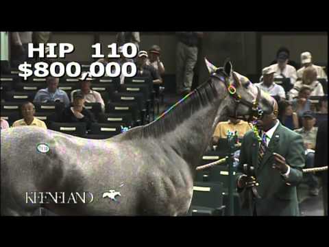 2013 September Yearling Sale - Hip 110- Unbridled's Song-Irish Smoke colt
