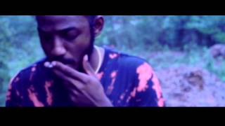 Dave Raps-Fake Part 2 (VIDEO) 2015