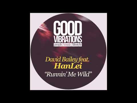 David Bailey, Hanlei, Ziggy Funk - Runnin' Me Wild (Groove Assassin Remix)