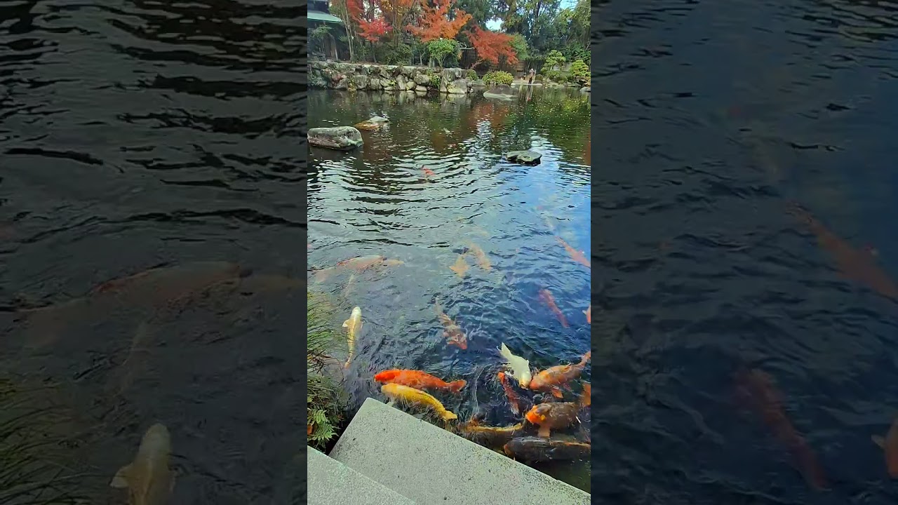 YouTube Short thumbnail