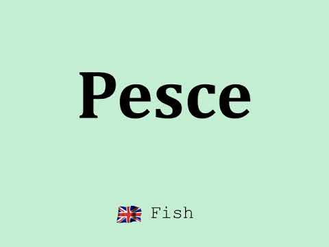 Pesce