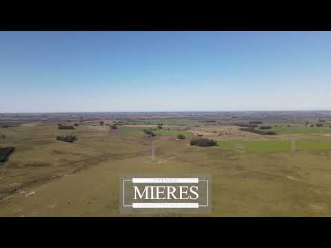 Video de YouTube - Campo en Venta  en San Carlos, Maldonado
