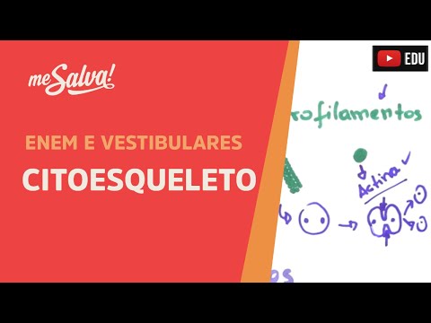 Me Salva! CIT22 - Citologia - Organelas citoplasmáticas 5 - Citoesqueleto