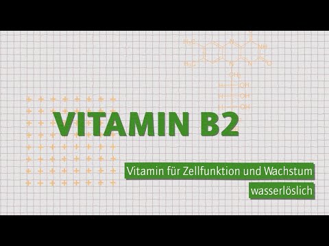 Vitamin B2 – Alles zu Riboflavin |  Wofür, wieviel und woher?