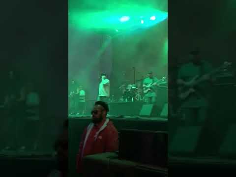 Josh heinrichs one Love fest 2018