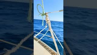 sailing Naitical Swing