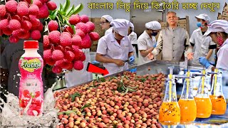 বাংলার এত লিচু দিয়ে ফ্যাক্টরিতে কি তৈরি হয় দেখুন! গোপন তথ্য ফাঁস,lychee juice is made in a factory