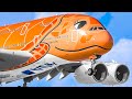 ️ COLOURFUL BEST SPECIAL LIVERIED PLANES Taking Off Landing Plane Spotting Compilation