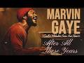 Chicago Soul After All These Years Marvin Inspired 70s Late Night Love Songs