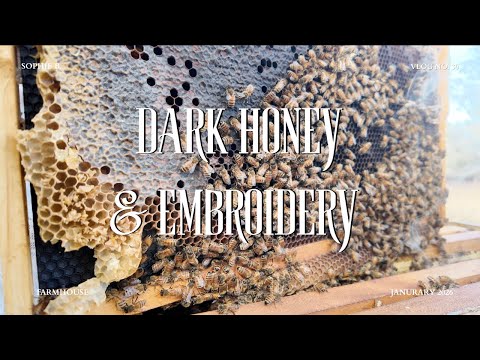 BEEKEEPING EXPLAINED BY MY KIDS