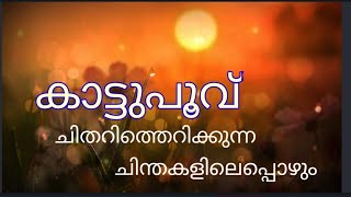 Download lagu കാട്ടുപൂവ്  Kattupoovu malayalam poem.chithari therikkunnnachinthakalil ,ചിതറി തെറിക്കു mp3