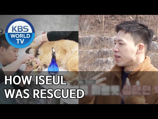 Προφορά βίντεο Iseul στο Αγγλικά