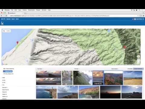 DAM Gets Physical: The Director's Cut