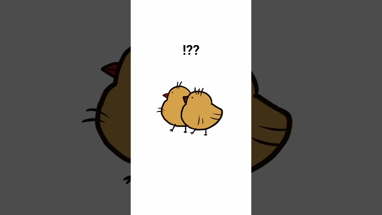 ﾀﾞﾝｼﾝｸﾞ金●ﾊﾞｰﾄﾞ