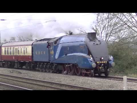 Fast Steam meets Fast Electric, Bittern at Tallington