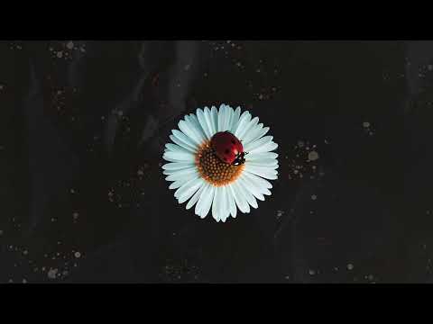 Kupla - Mirage [2022 full album]