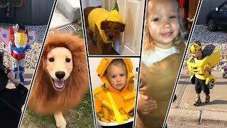 Best HALLOWEEN Costumes of 2018