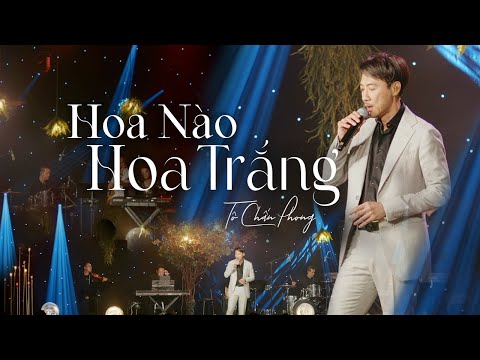 Hoa Nào Hoa Trắng - Tô Chấn Phong | LIVE at SGC Ballroom