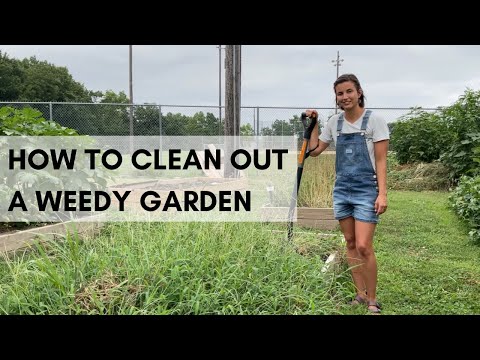 How to Clean Out a Weedy Garden