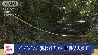 [討論] 終極戰士為什麼不會鄙視獵殺人類的同族