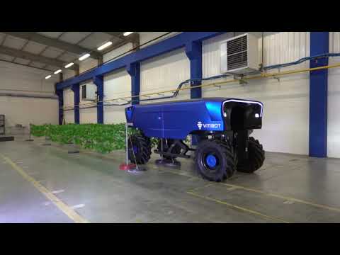 Bakus robot viticole