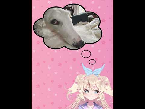 They've been in my head all week #shorts #vtuber #borzoi #PlumRosePrism