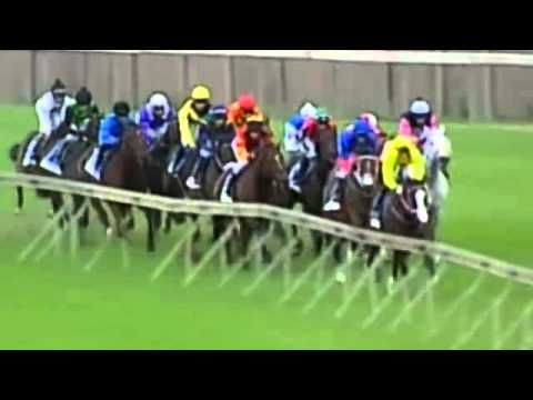 DRILL HALL STAKES (Grade 2) 2013