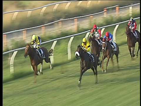 Galoppo 16/06/2017 - 6ª corsa