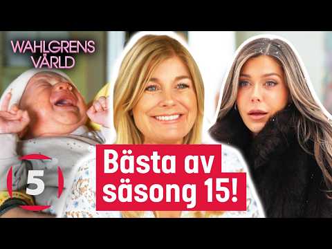 Theos DJ-fas, Pernillas bröllop, Wahlgrens nykomlingen - hela Wahlgrens värld säsong 15! | Kanal 5