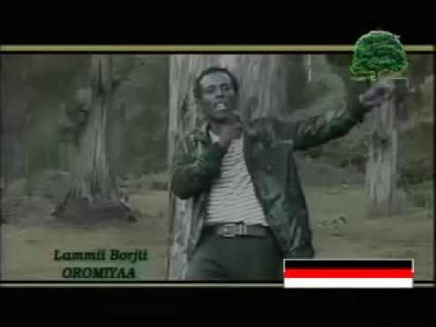 Lammii Borjii - Oromiyaa (Oromo-Oromia)