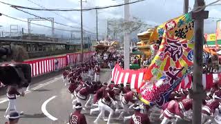 令和7年度だんじり祭り 春木地区パレード前やりまわし