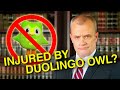 Lawyer Fights Duolingo Owl For 2 700 000