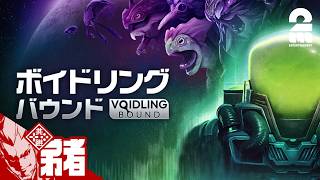 【ボイドリング・バウンド】モンスターと意識をリンクさせるアクションシューティング【弟者】