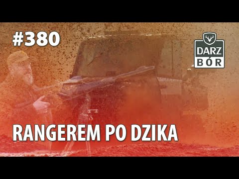 Darz Bór odc 380 - Rangerem po dzika
