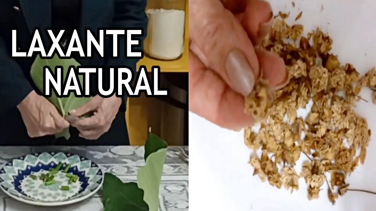 Limpa os Olhos, o Intestino, o Útero e é um Laxante Natural #Remédio 💖 MARILENE SARAH FIALHO