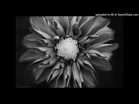 Gai Barone - Familia (Remix)