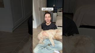 say hi to my new roommate 🐶 #dog #puppy #vlog #dogshorts #doglife