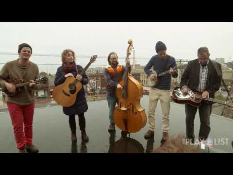 download lagu mp3 mp4 Plucked Up String Band, download lagu Plucked Up String Band gratis, unduh video klip Plucked Up String Band
