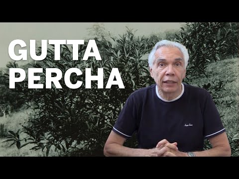 Dr. Joe Schwarcz gets to the root of gutta percha