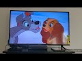 Opening To The Lion King 1994 2011 DVD Last DVD Opening Of 2021
