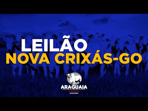 ARAGUAIA LEILÕES | NOVA CRIXÁS-GO 03/05/2024 | LEILÃO DE GADO AO VIVO