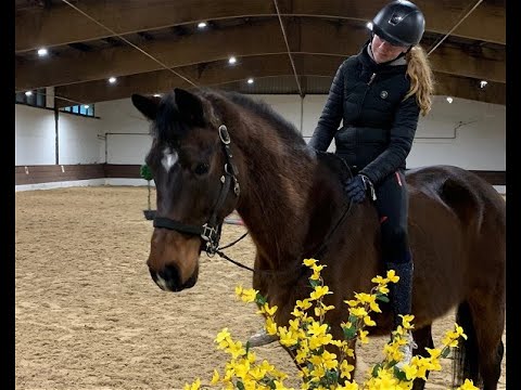 COULIOSTRO 12j. v. Convoi - Liostro VB 15.000,- Euro